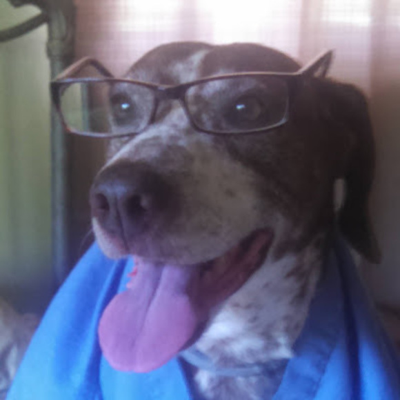 Meet your Posher, Pamela - Picture 1 of 1